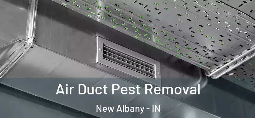  Air Duct Pest Removal New Albany - IN