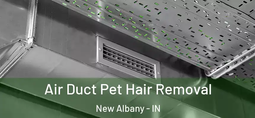  Air Duct Pet Hair Removal New Albany - IN