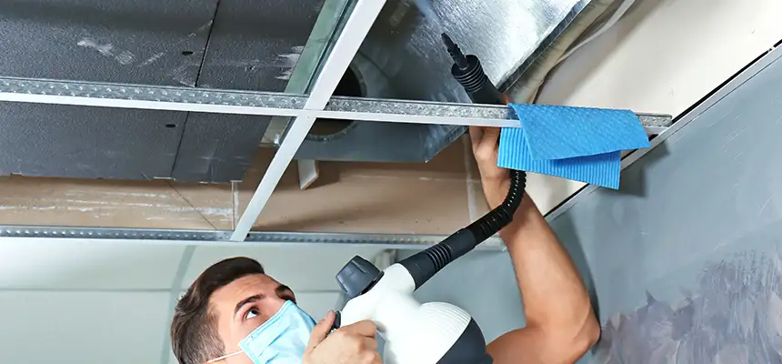 Our Air Duct Rodent Removal Services in New Albany, IN