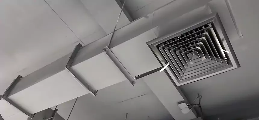 Our Pest Removal From Ducts Services in New Albany, IN