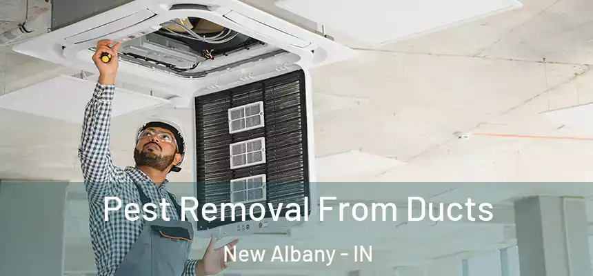  Pest Removal From Ducts New Albany - IN