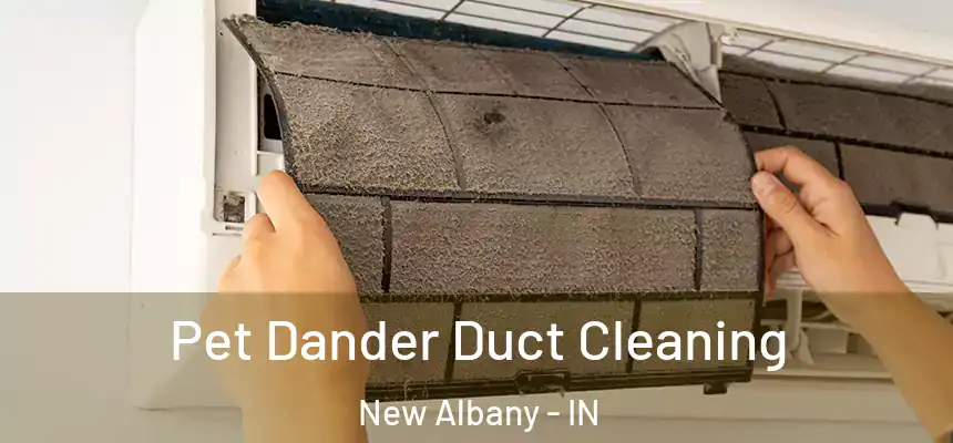  Pet Dander Duct Cleaning New Albany - IN