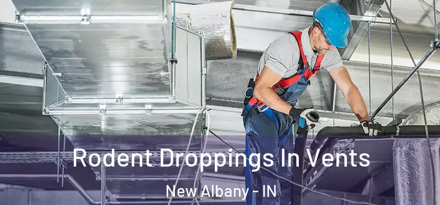  Rodent Droppings In Vents New Albany - IN