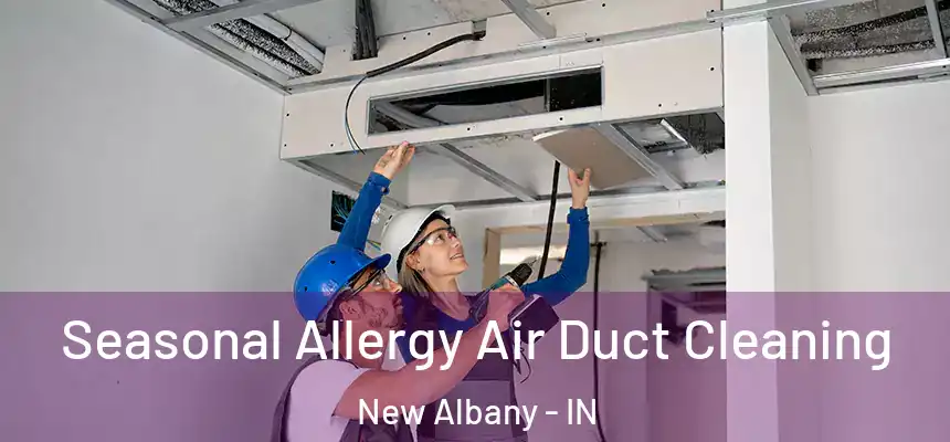  Seasonal Allergy Air Duct Cleaning New Albany - IN