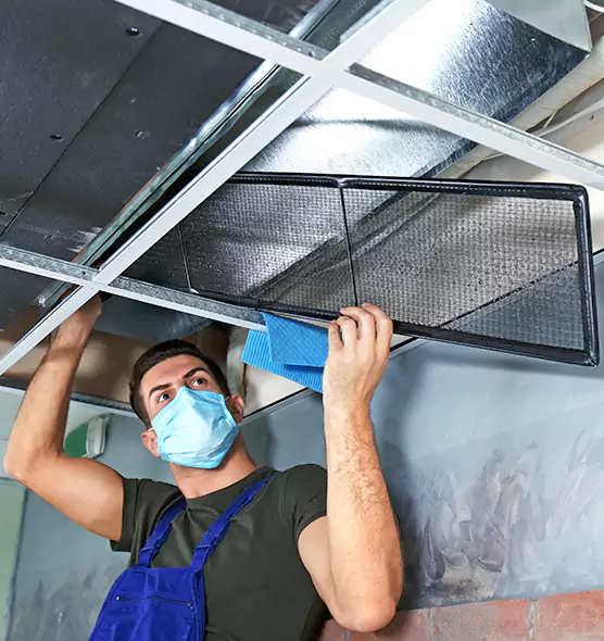 About Air Duct Bacteria Removal in New Albany