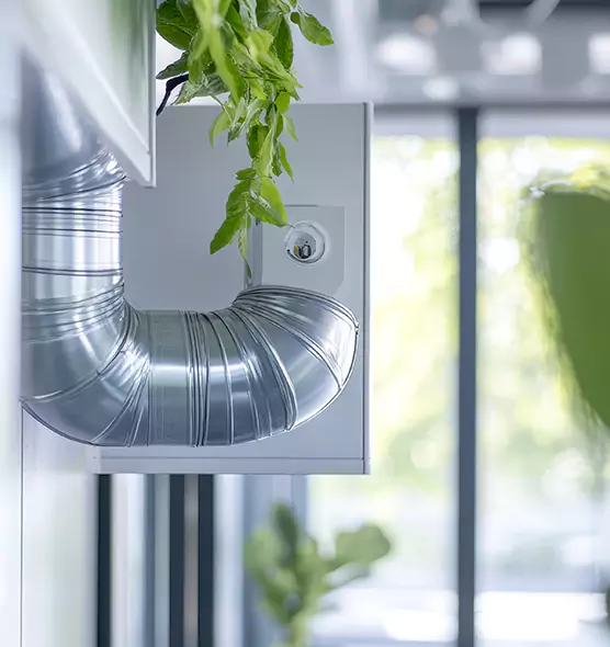 Professional Eco-Safe Dryer Vent Cleaning in New Albany, IN