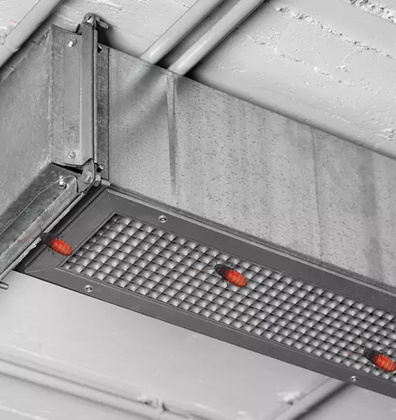 Affordable Insect Removal from Air Ducts in New Albany, IN