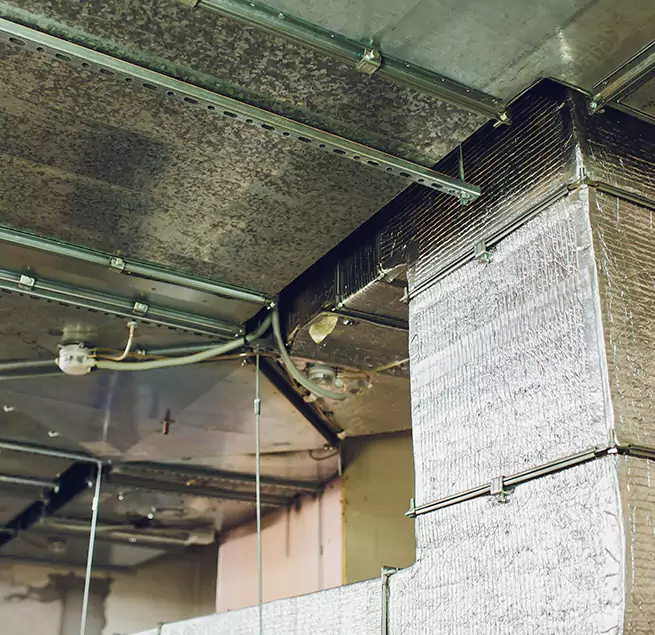 Why Homeowners & Businesses Trust Us in New Albany, IN?